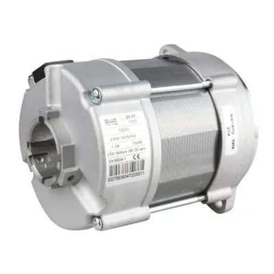 Riello Motor 3005820