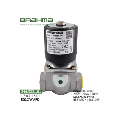 Brahma Válvula de gas 13871501
