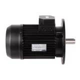 FBR Elektromotor 158861 — Ansicht 3