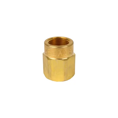 Delavan Adaptador de boquilla 28736-003