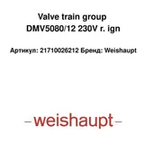Weishaupt Valve train group 21710026212