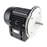 Weishaupt Motor eléctrico 21520307370