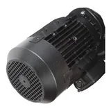Riello Motor eléctrico 3013692