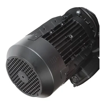 Riello Motor eléctrico 3013692