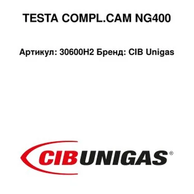 CIB Unigas Cabezal de combustión 30600H2
