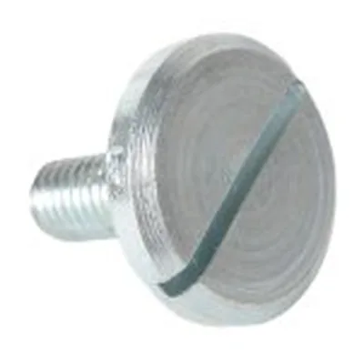 Ecoflam Tornillo de fijación de la carcasa 65300519