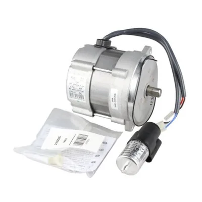 Riello Motor eléctrico 20071577