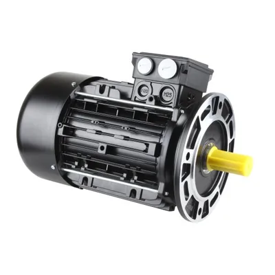 Riello Motor eléctrico 20050960