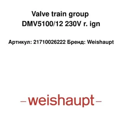 Weishaupt Grupo de válvulas 21710026222