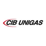 CIB Unigas Tubo de llama 30900L1