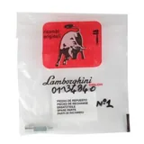Lamborghini Embrayage 01134840 — vue 3
