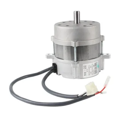 Riello Motor 3008489