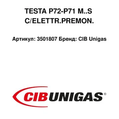 CIB Unigas Cabezal de combustión con electrodos 3501807