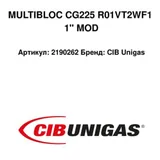 CIB Unigas Kolektor gazowy 2190262