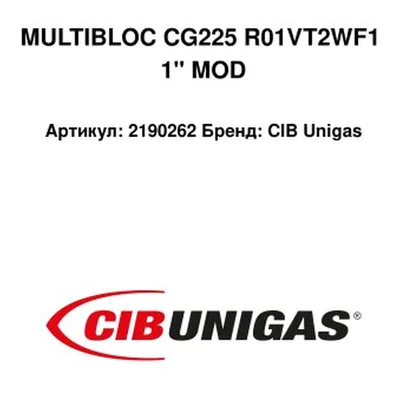 CIB Unigas Kolektor gazowy 2190262