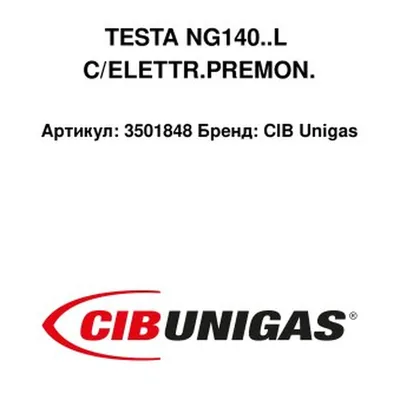 CIB Unigas Cabezal de combustión con electrodos 3501848