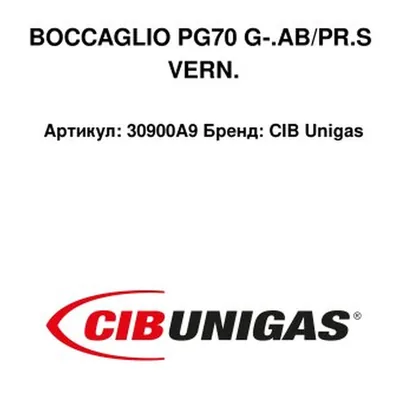 CIB Unigas Tubo de llama 30900A9