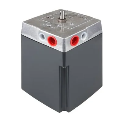 Riello Actuador 3000871