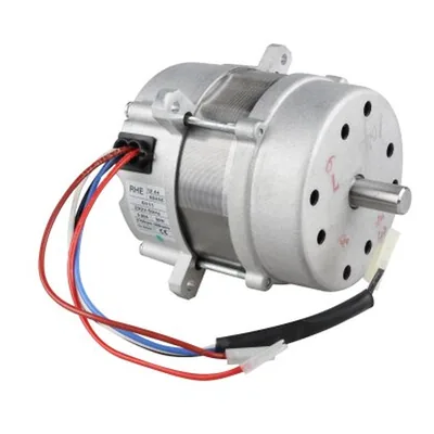 Riello Motor eléctrico 3007606