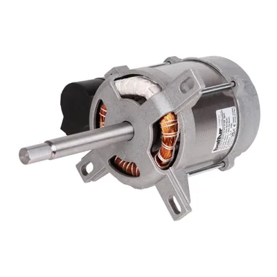 Baltur Motor eléctrico 0005010163