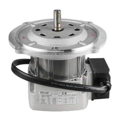 Riello Motor eléctrico 3013752