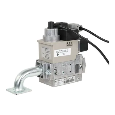 Riello Gas Ramp 3970548