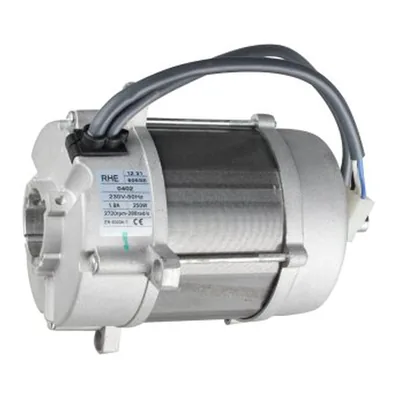 Riello Motor eléctrico 3002853