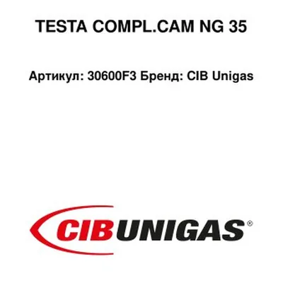 CIB Unigas Głowica spalania 30600F3