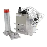 Riello Gasverteiler 3970181