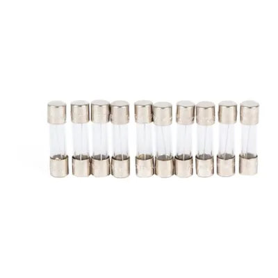 Riello Fusible 3006211