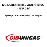 CIB Unigas Silnik 21802C9