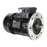 Riello Motor eléctrico 3003968