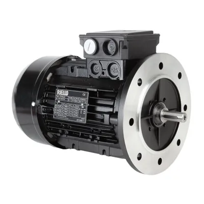 Riello Motor eléctrico 3003968