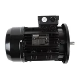 Riello Motor eléctrico 3003968 — vista 2