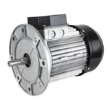 Riello Elektromotor 3003966