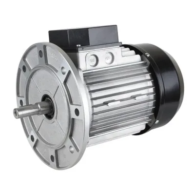 Riello Motor eléctrico 3003966