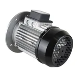 Riello Elektromotor 3003966 — Ansicht 2