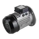 Riello Elektromotor 3003966 — Ansicht 3