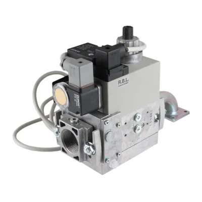 Riello Colector de gas 3970542