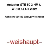Weishaupt Actuador STE 50 651488
