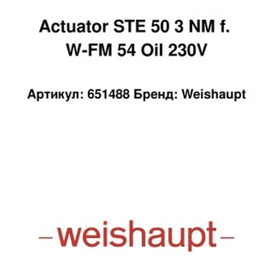 Weishaupt Actuador STE 50 651488