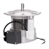 RUF Motor eléctrico RU3013751 — vista 2
