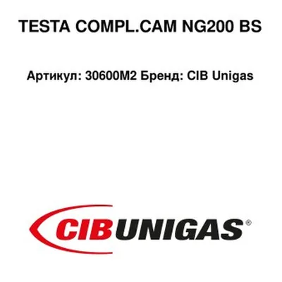 CIB Unigas Głowica spalania NG 200 S 30600M2