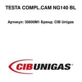 CIB Unigas Tête de combustion 30600M1