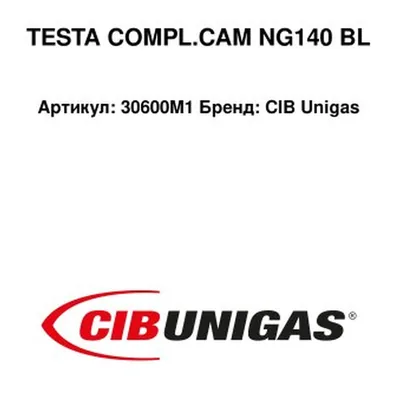 CIB Unigas Głowica spalania 30600M1