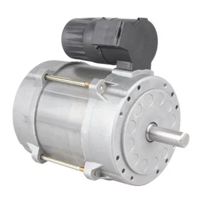 Lamborghini Motor eléctrico 3980R490
