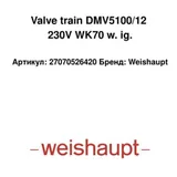Weishaupt Tren de válvulas DMV5100/12 27070526420