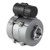 Baltur Moteur électrique 0005010131