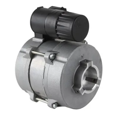 Baltur Motor eléctrico 0005010131