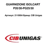 CIB Unigas Flanschdichtung 2110004